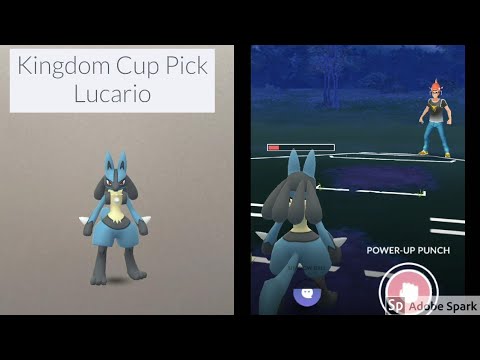 Kingdom Cup Pick – Lucario