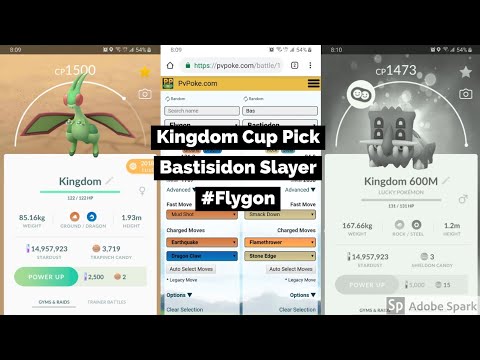 Kingdom Cup Pick – Flygon